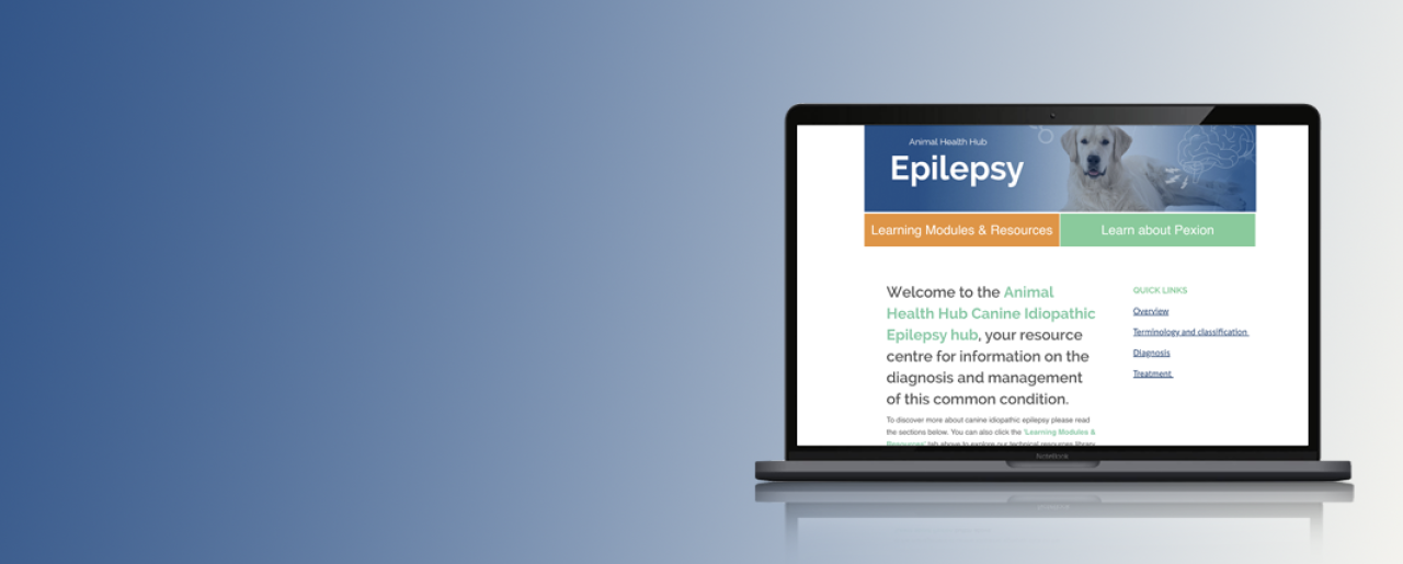 Epilepsy Home Page